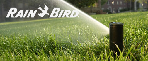 rainbird-img