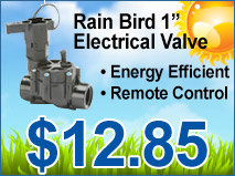Rain Bird 1 " Electrical Valve