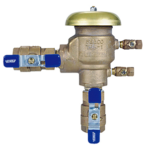 Double Check Valve  Briscoe Protective